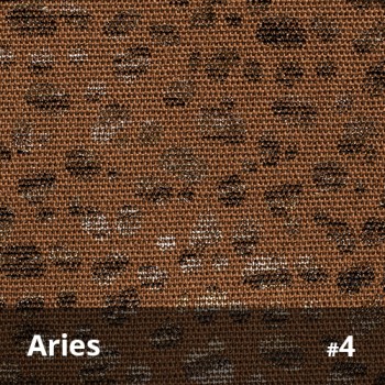Aries 4
